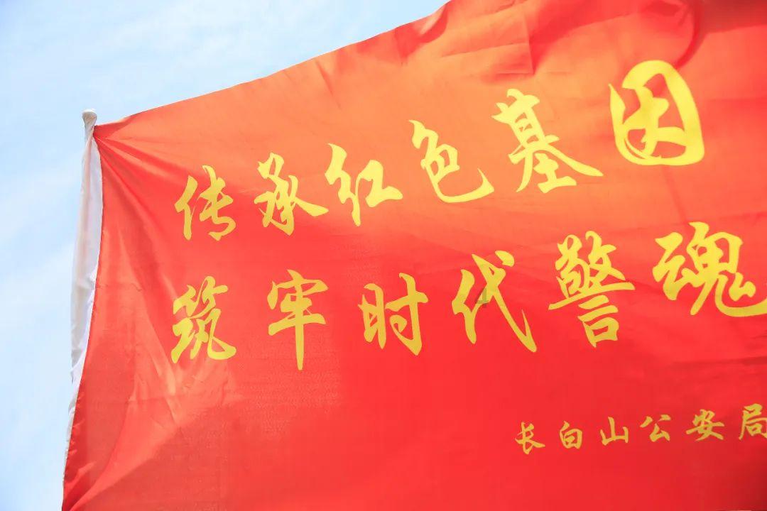 有风来丨“山花”如何烂漫
